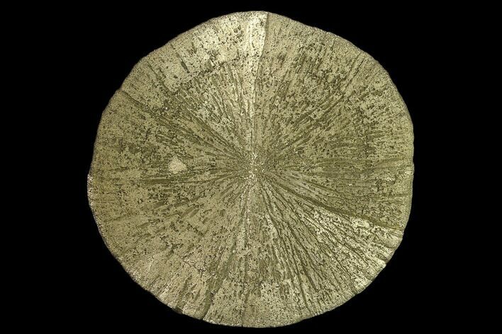 Large, Pyrite Sun - Sparta, Illinois #134889